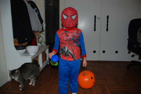 aj spiderman 10-31-07