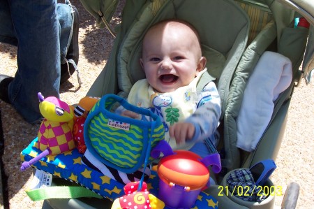 Austin at Busch Gardens