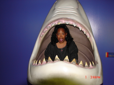 Swallowed By A Shark!!
