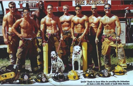 Ahhhh, The Boys..... The Firemen Dogs, Yes, Having A Little Fun, lol