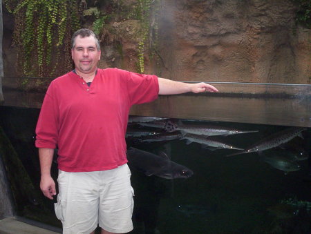 2006 NC aquarium