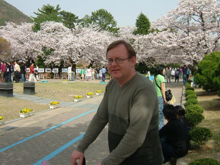 Cherry  Blossom Festival, Jinhae, South Korea 2006