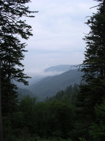 Smokey Mountain National Park