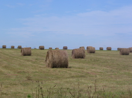 Kansas Landscape  (September 2008)