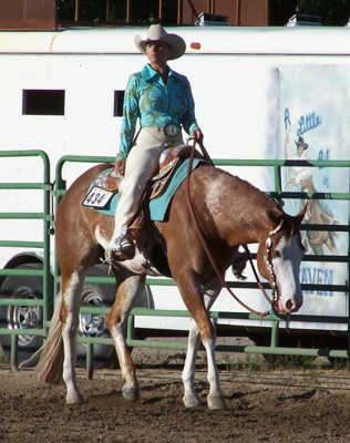 #1 SHOW HORSE "ZIPPED FOR SIRTAIN"