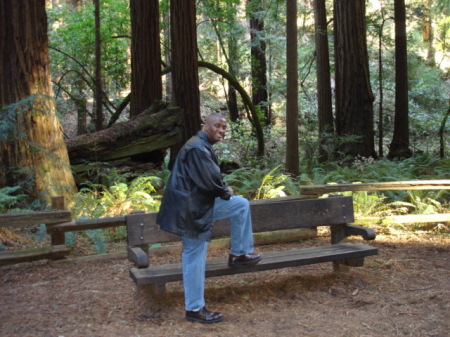 Hiking in the Redwoods