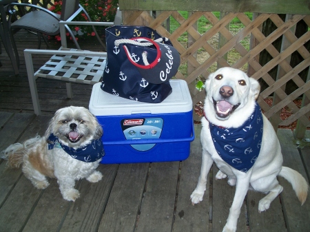 My dogs, ready for a boat ride