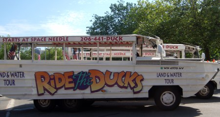 the duck