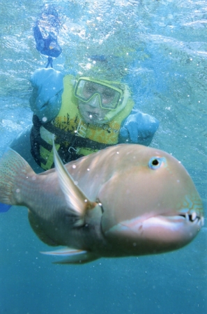 Bobbie snorkeling