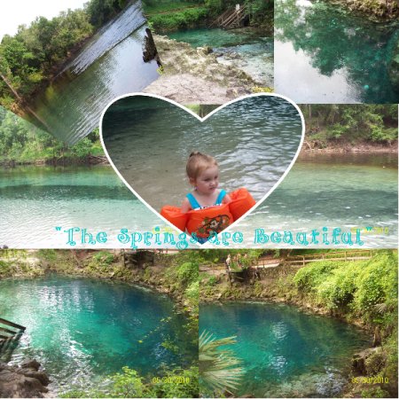 the springs