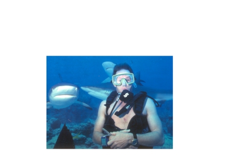 Diving with the sharks in Bahamas '98