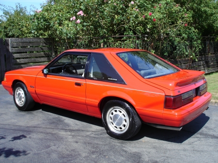 1990 5.0 Litre Mustang