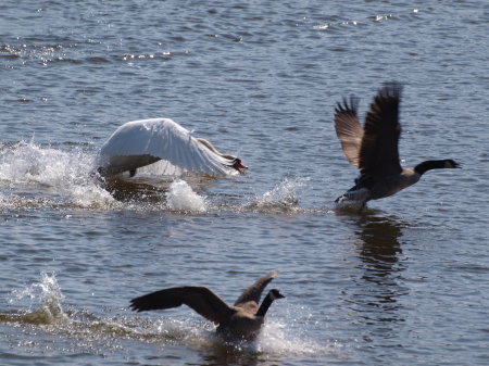 Debora Colthurst's album, River Pics