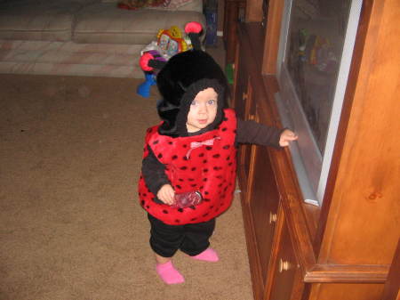 My Little Lady Bug