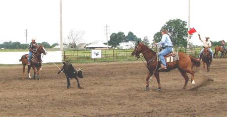 team roping