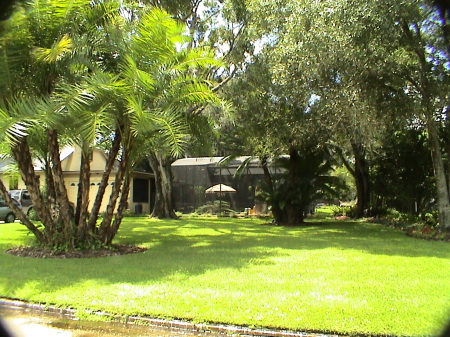 Our House in Sanford (front yard)