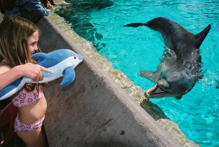 kayla and dolphin