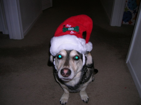 Shelby Christmas 2005