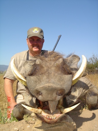 ONE OF FOUR WARTHOGS KILLED