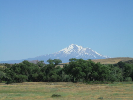 Mount Shasta