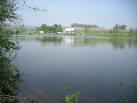 Last photo of the pond