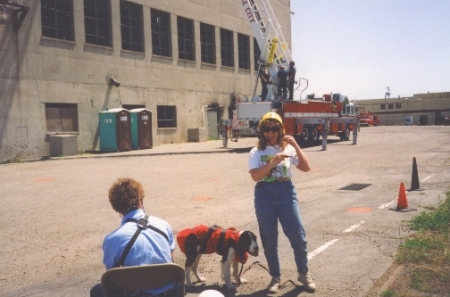 Search and Rescue with Bandit