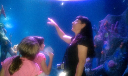 At the Aquarium