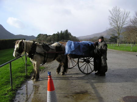 Another mode of transport in Ireland.