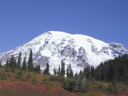 Mt Rainier