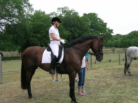 Down-time at the Local Dressage Competition