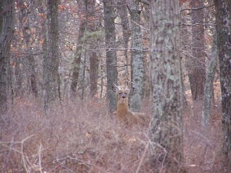 nice rack!