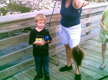 my son,the stingray king