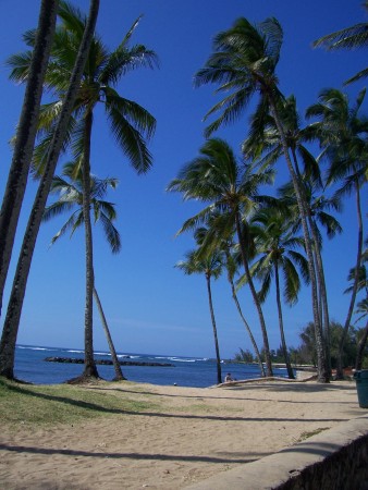 North Shore Beach