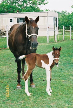 Mom and Baby