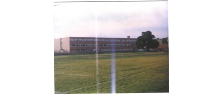 Senior High 1981