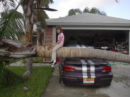 Ari and the Palm Tree after Hurricane Jeanne 2004