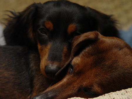 Gabby and Herbie