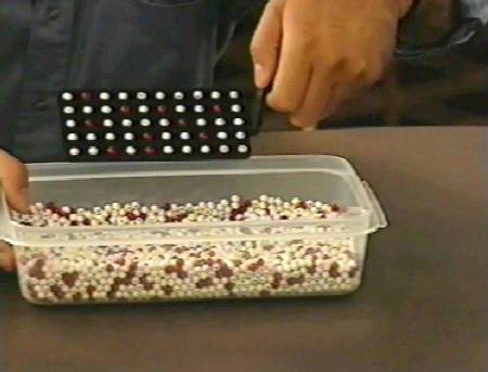 My teaching product Deming Red Bead Experiment