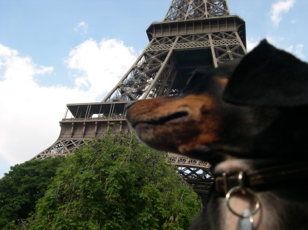 My pup, Ebony, in Paris (2005)