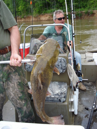 bear holding the big one