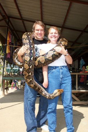 2004 0111 Thailand  85 Pound Python