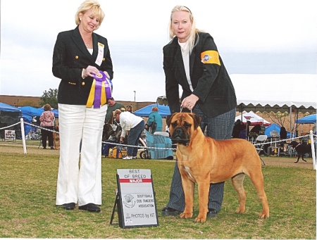 A Best of Breed win with my dog Lacaena, now a Champion.