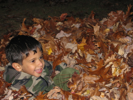 Matthew playing in a pile of leaves