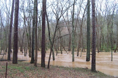 the river out back of the house