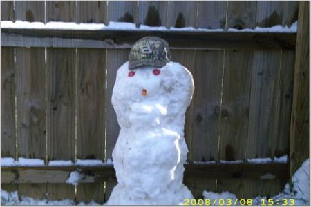 Our Tennessee Snowman