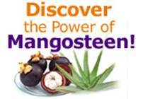 the  Mangosteen fruit