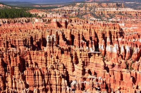 Bryce Canyon from the rim, June 2007