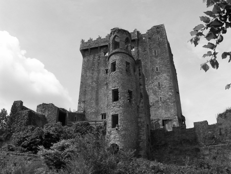 Blarney Castle - just off one side