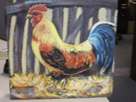 Rocky the rooster