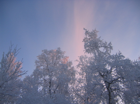 Alaska - My First Frost